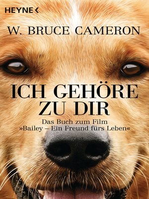 cover image of Ich gehöre zu dir: Bailey--Ein Freund fürs Leben--Buch zum Film--Roman